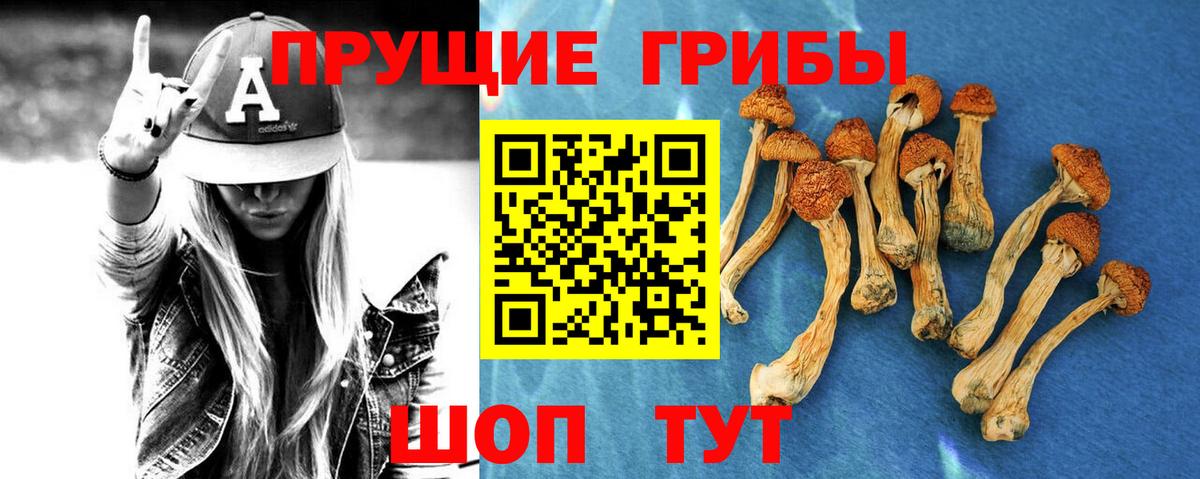 Галлюциногенные грибы прущие грибы  Псилоцибиновые грибы GOLDEN TEACHER  Бутурлиновка  Вход с VPN 